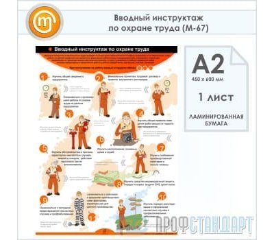 Плакат «Вводный инструктаж по охране труда» (М-67, ламинированная бумага, А2, 1 лист)