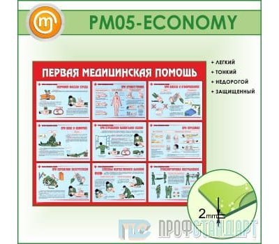 Стенд «Первая медицинская помощь» (10PM-05-ECONOMY00)